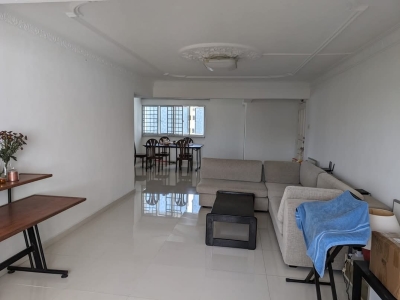 Spacious Common Room for one lady
