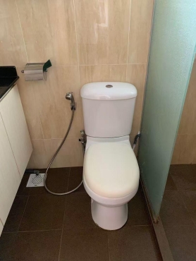 One common room available at near Tiong Bahru / Havelock MRT