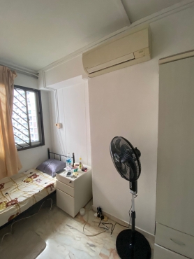 Common share (Female only) short term or long term