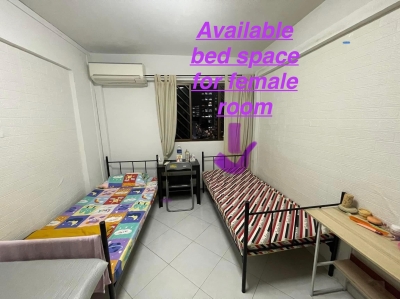 Serangoon MRT & Lorong Chun MRT အနီးတွင် ယောက်ျားလေးတနေရာစာနှင့် မိန်းကလေး တနေရာစာ ငှားရန်ရှိပါသည်