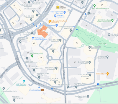 Shared room avaliable  for one female roommate @ Woodlands South Mrt(TE line)