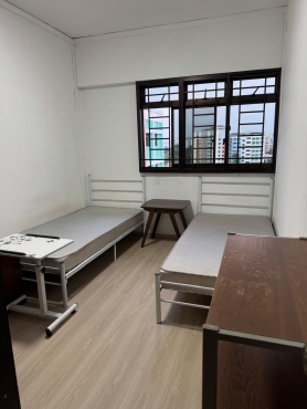 Shared room avaliable  for one female roommate @ Woodlands South Mrt(TE line)