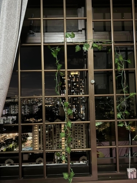 Big master bed room to rent