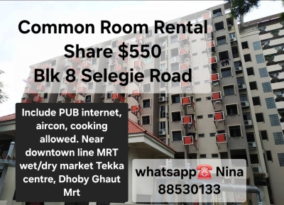 👩1 lady roommate common room at Blk 8 Selegie ( close to MRT)