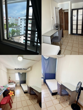 🏡 အခုချက်ချင်း ရက်တို/ ရှည် နေချင်သူ မိန်းကလေး (၁) ယောက်စာ နေရာလွတ်ပါတယ် (၂ ယောက်ခန်း)👱‍♀️ 🛌 🌟 (Available Immediately )