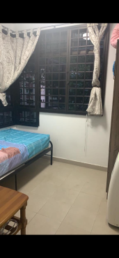 Single room available (short / long term)