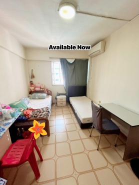 Available Immediately 🌸Long Term🌸 One Female @🚇Red Line -Yishun MRT (3 mins walk)(2 pax share room)