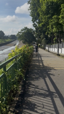 Condo common room for rent