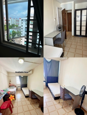 🏡 𝐉𝐚𝐧𝐮𝐚𝐫𝐲 (၁) ရက်ကနေ (၁၀) ရက် - 10 D, 9 N Short Term 🏡February (၉) ရက်ကစပြီး Long Term မိန်းကလေး (၁) ယောက်စာ နေရာလွတ်ပါတယ် (၂ ယောက်ခန်း)👱&zwj;♀️ 🛌 🌟
