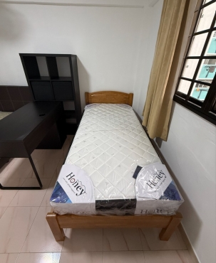 Male 1 Pax for Common Room