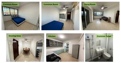 Common Room for Rent near Hougang MRT / Hougang Mall 🏠