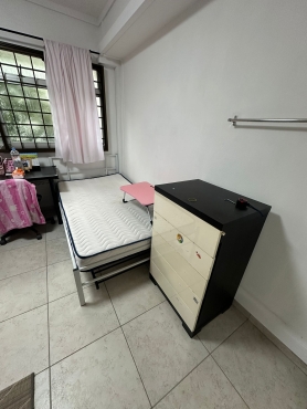 Looking for one female roomate sharing 2 persons common room