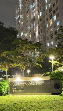 Tiong Bahru, Single lady $1150