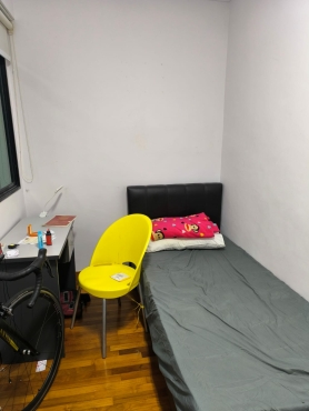 Single Room For Rent