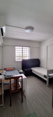 Clementi- Common Room rent for 1 Female 