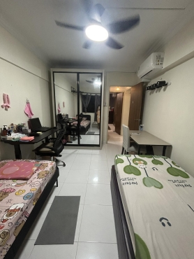 Common Room for girl