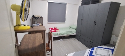 Looking for 1 female roommate in common Room vacancy 