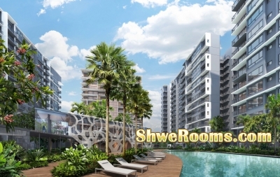 Grandeur Park New Launch Condo beside MRT