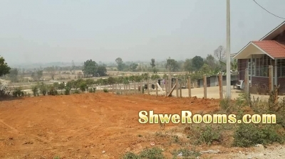 ေညာင္ေရႊကားလမ္းမျကီးျကား (၆၀' ၄၀') အကြက္ ၄ ကြက္ ပိုင္ရွင္ကိုယ္တိုင္ေရာင္းမည္.