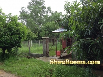 ေျမာက္ဒဂံု၊(၃၇)ရပ္ကြက္ , ေထာင့္ကြက္ (2700 sqft),1PT ေရာင္းရန္ ရွိသည္။ 