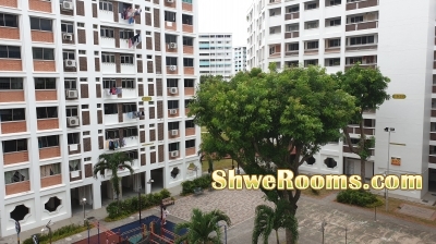 HDB 4A for sale @ 830 Hougang Central