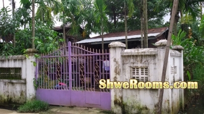 Taung Thu Gone Insein House for sale